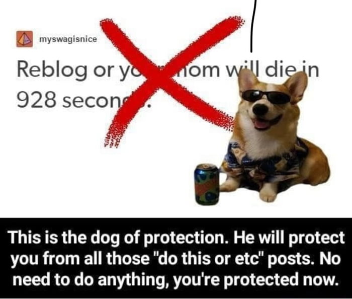 This etc. Immunity doggo. Protect doggo. Protect the Dog уровень 83. Are you protected.