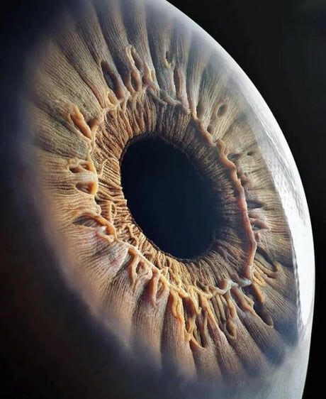 macro photography human eye