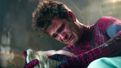 In Spiderman Harry dies, in amazing spiderman Gwen dies. So in no way home spiderman dies but which one? - 9GAG In Spiderman Harry dies, in amazing spiderman Gwen dies. So in no way home spiderman dies but which one? - 9GAG