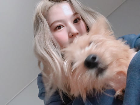 what breed dog does exid junghwa have