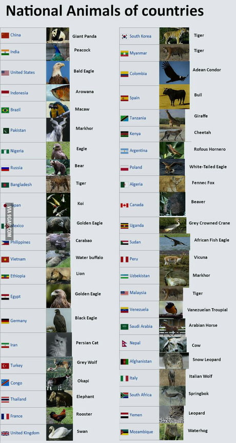 National animals of countries, if you ever need it. - 9GAG