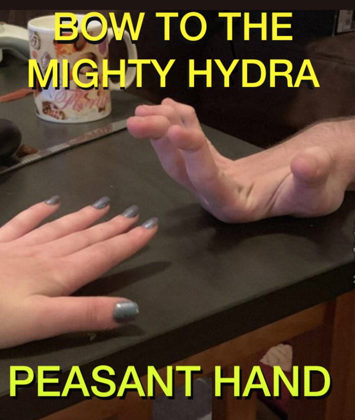 All hail the Hydra Hand