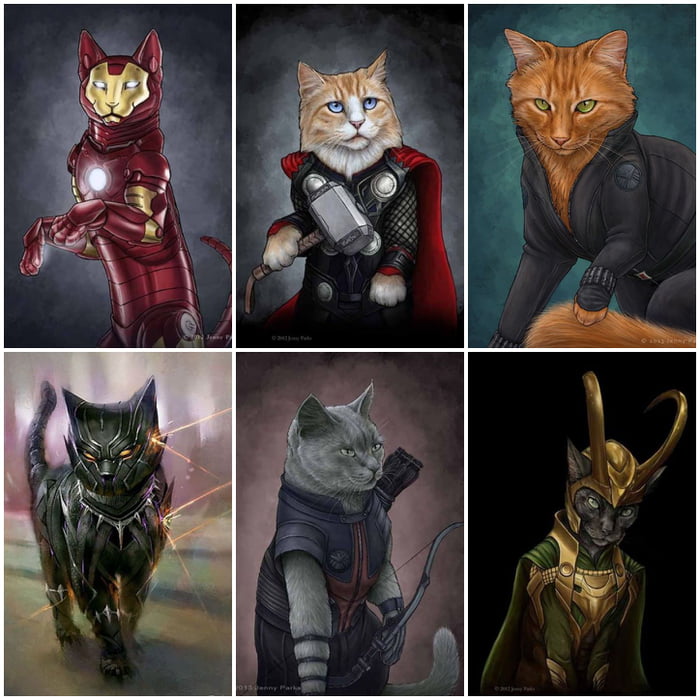 Marvel cats - 9GAG