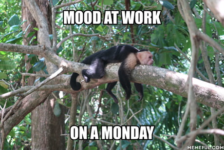 Monday mood on a Wednesday... - 9GAG