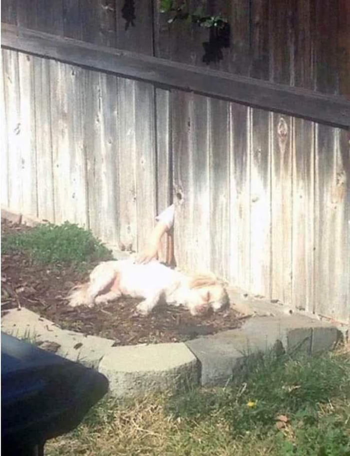 The wholesome glory hole
