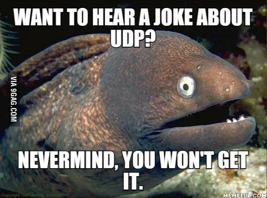 udp joke