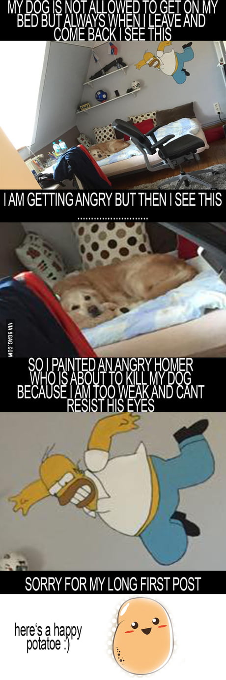 I Love You But I Hate You But I Love You 9gag