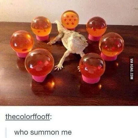 Salamander summoned by three different summoners (Kenja No Deshi Wo Nanoru  Kenja) - 9GAG