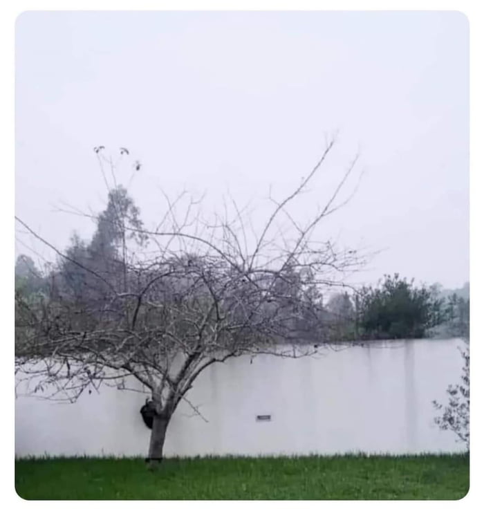 It's like watching paint dry, until you realise. 9GAG