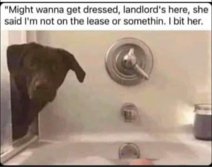 Hehe!!