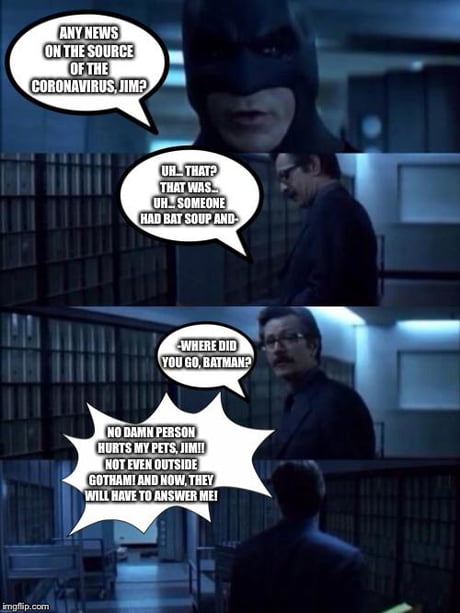 Meme- Batman Will Wreak Vengeance on Whoever Started the Novel Coronavirus,  Even if it Means Investigating Wuhan! - 9GAG