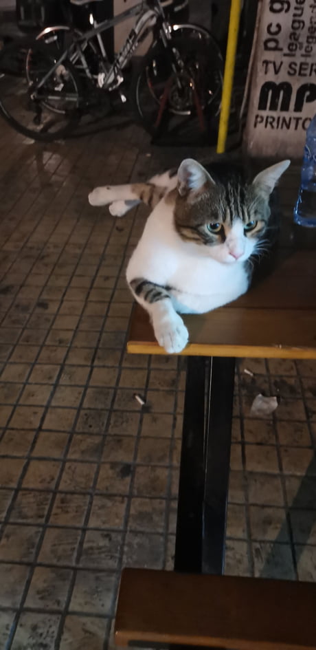 Came From The Bottom No One Said It Would Be Fair Now I M This Money Lounging Like It S A Beach Chair 9gag