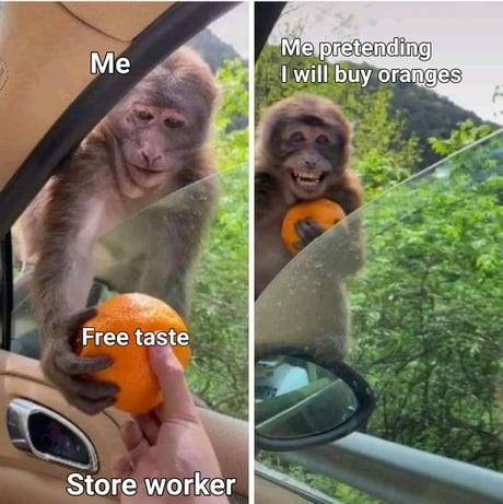 Best Funny monkey Memes - 9GAG