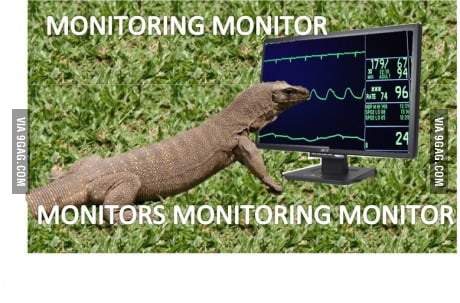 Monitoring Monitor Monitors Monitoring Monitor 9gag