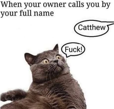 Does your cat have a full name?