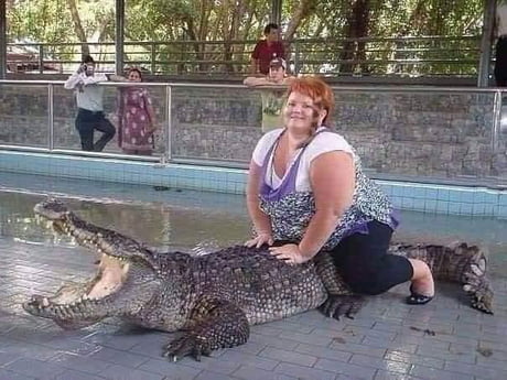 This crocodile screamed for help