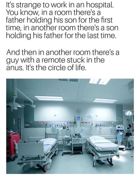 circle of life meme circle of life meme