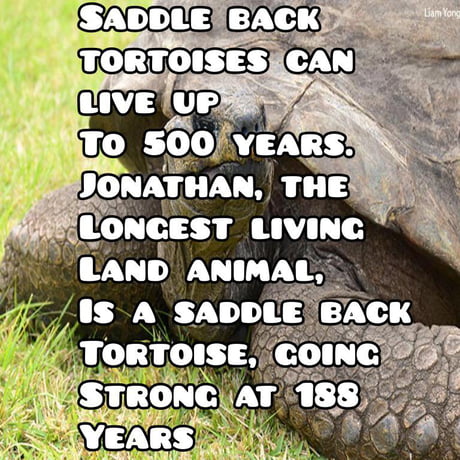 Meaning He Could Live Up To 500 Years 9gag