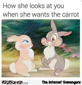 They say carrots are good for your eyes - 9GAG