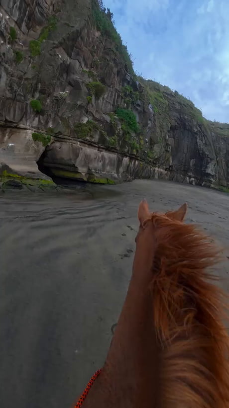 Galloping through a sea cave in New Zealand, what a dream