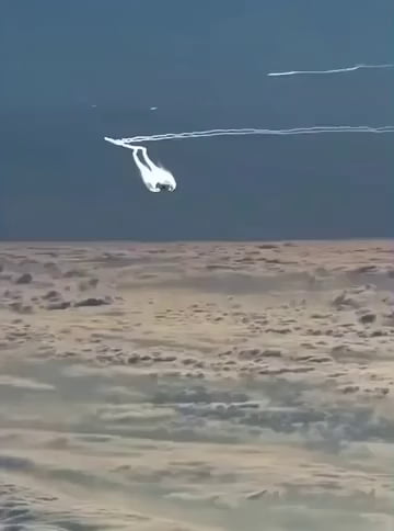 What is that white stuff?