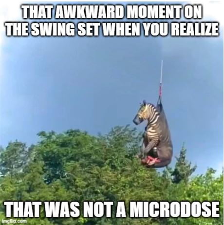 funny-zebra-memes