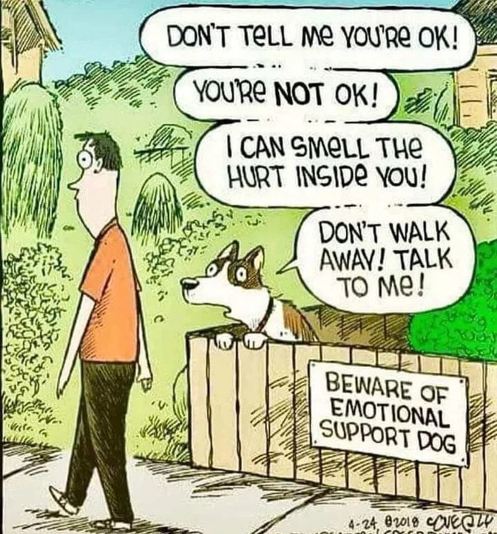 doggy-style-9gag