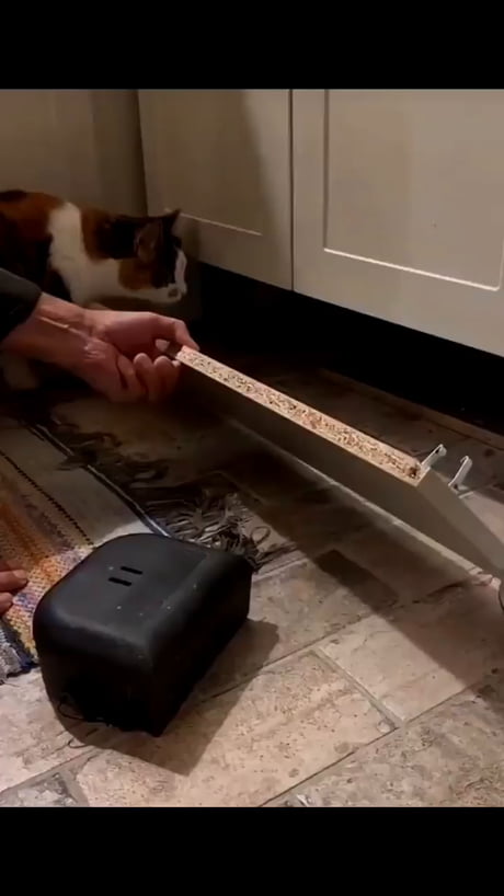 Bro understood the assignment