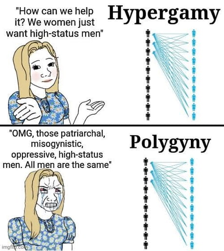 Hypergamy Meme Ranks Best Funny hypergamy Memes - 9GAG