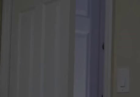My cat at 3 a.m for no reason