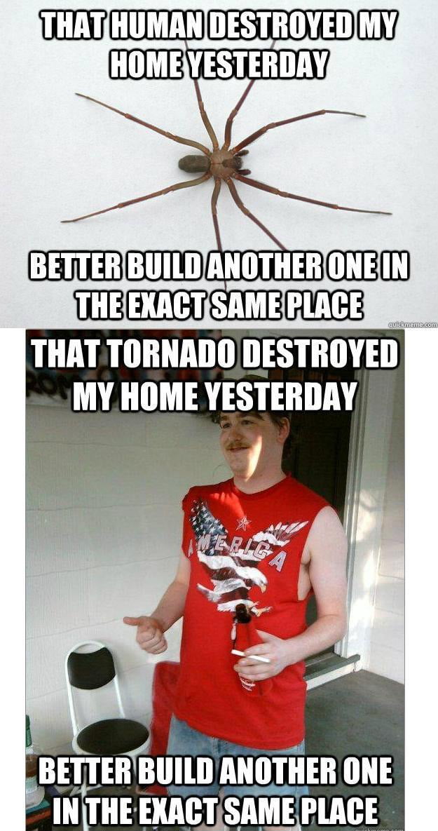Old stupid meme