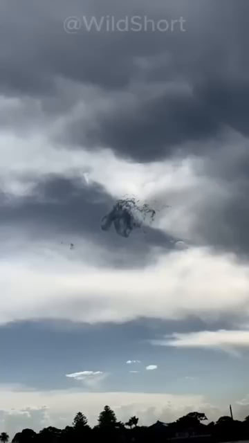 Spider Cloud