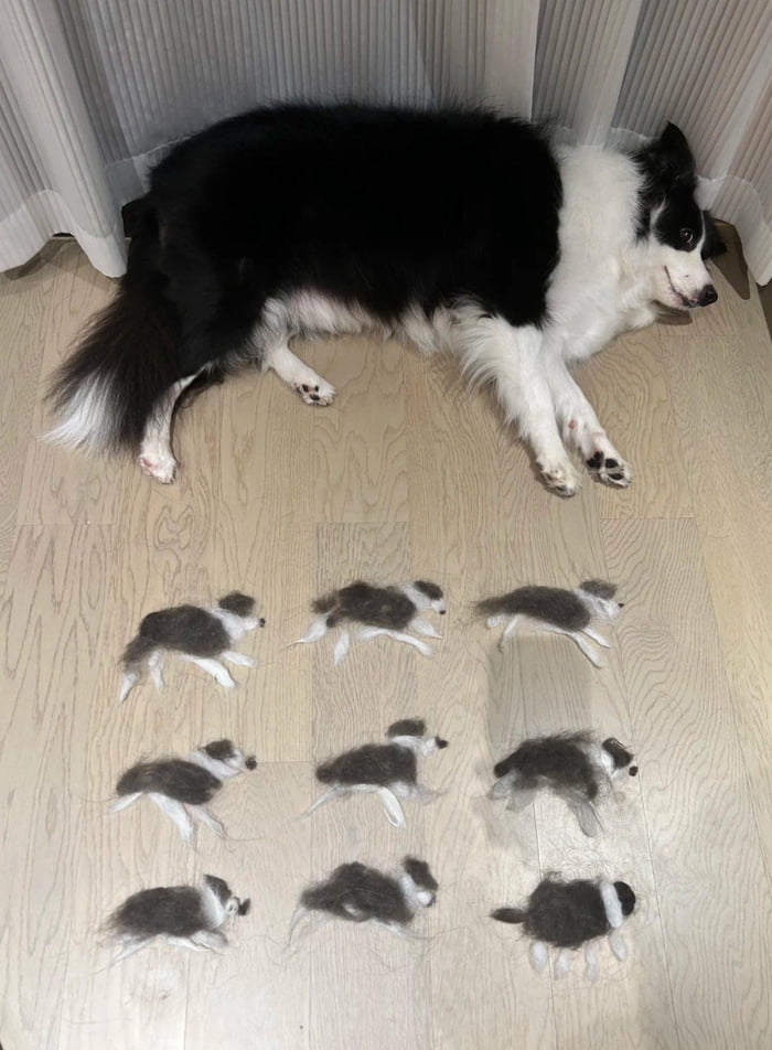Post by foodie_bkk68