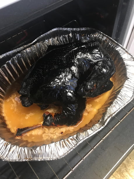 Happy Thanksgiving From My Little Sisters First Ever Turkey 9gag