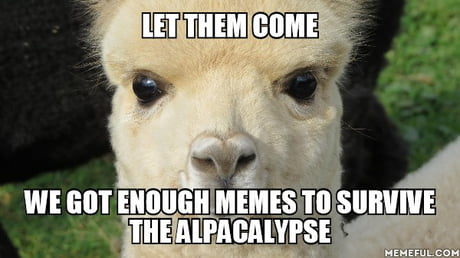 ar5MXvV_460s.jpg
