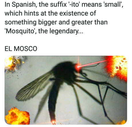 arGe9BB_460s.jpg