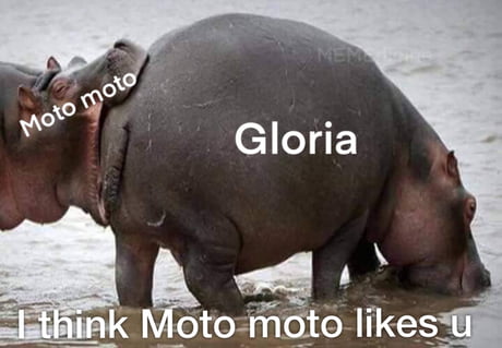 Moto Moto Original Meme 