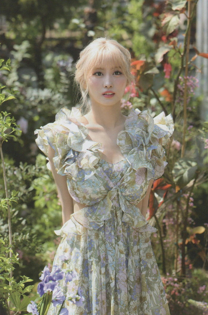 Photo : Momo