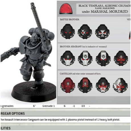 Question to Black Templar Brothers. Im coming up to my Indomitus Assault  Intercessor Sargeant. According to Lore ive read, BT&#39;S dont use sargeants  in battlefield roles. Is it rule breaking if I