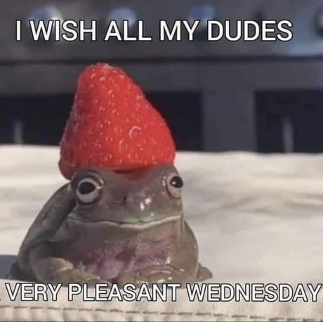 Best 30+ It Is Wednesday My Dudes fun on 9GAG