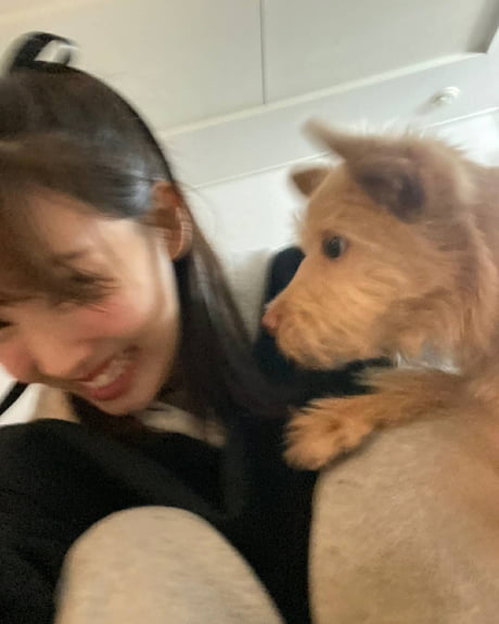 what breed dog does exid junghwa have