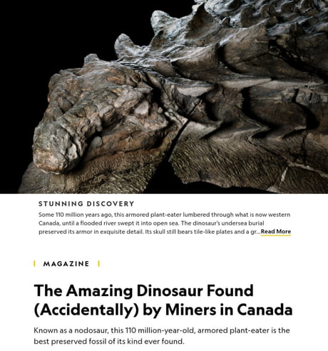 This 110 million year old, incredibly preserved fossil of a dinosaur called  a Nodosaur was accidentally discovered by miners in Canada - 9GAG