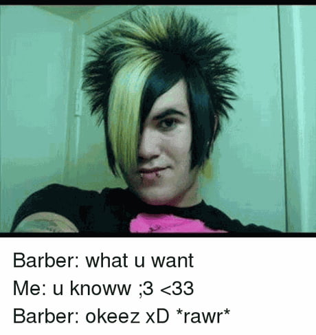 Rawr XD means make america great again in dinosaur ^^ :3 - 9GAG