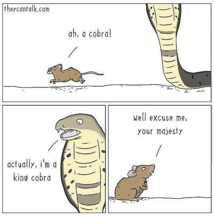 Never eat the fur off the rat that bit you.