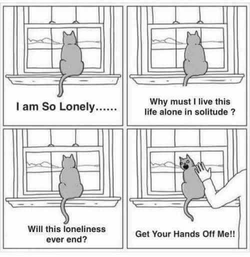 I Am So Lonely 9GAG i-am-so-lonely-9gag