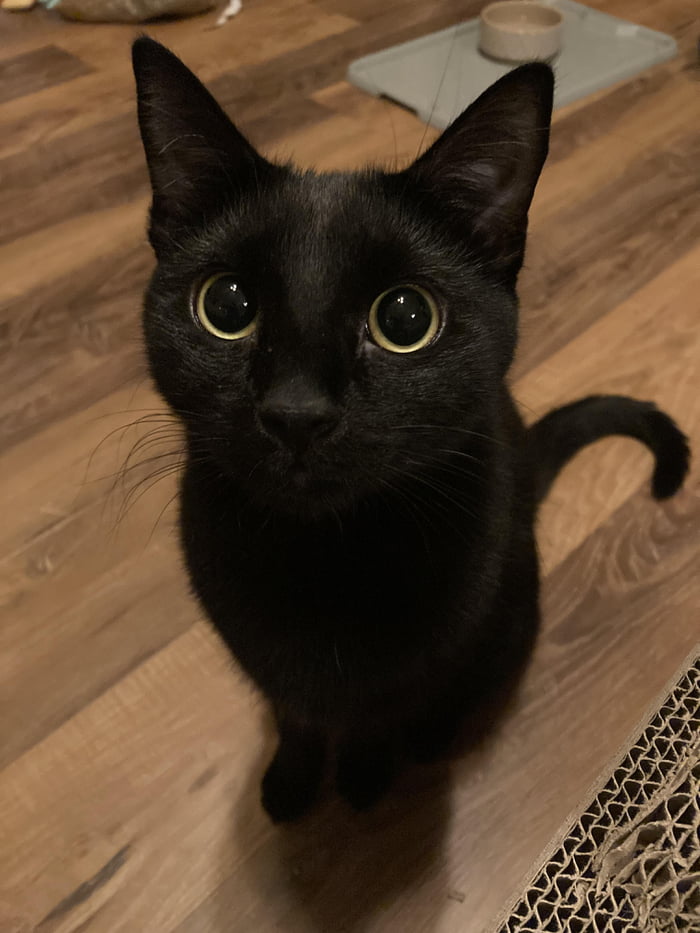 1 like = 1 kiss on his soft little forehead 9GAG