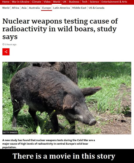 Fallout from nuclear weapons testing explains the 'wild boar