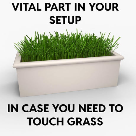 help me i need to touch grass