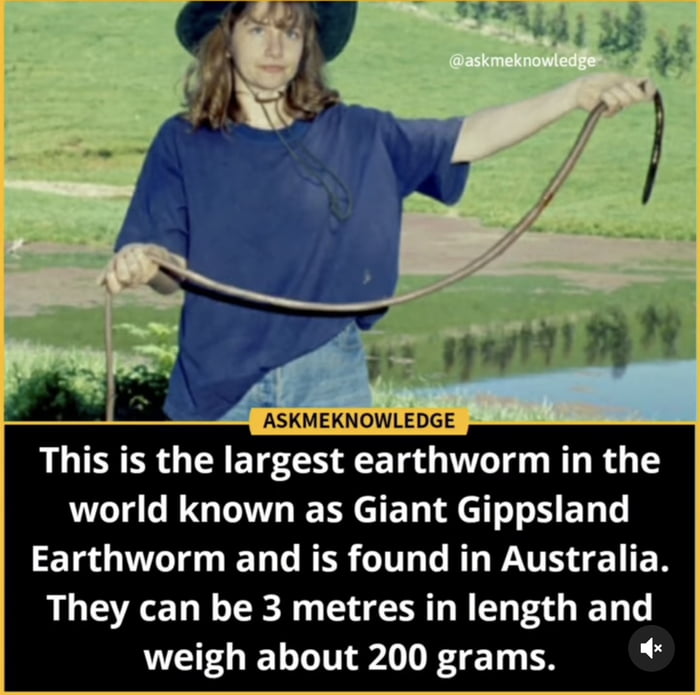 Flat Earthers F**k Off, Australia Is Real - 9GAG