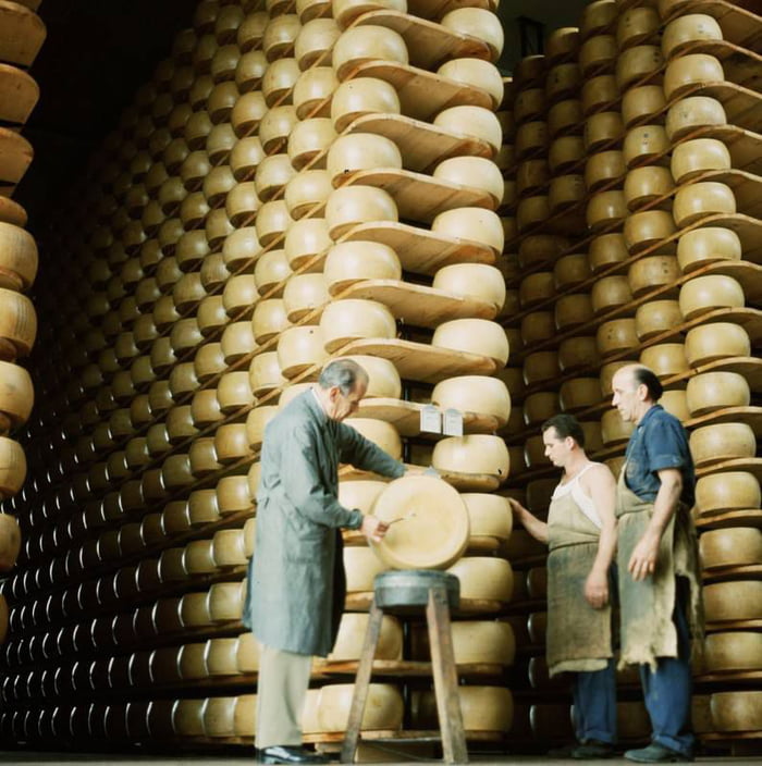 The largest storeroom for Parmesan cheese, Italy, 1960s An inspector